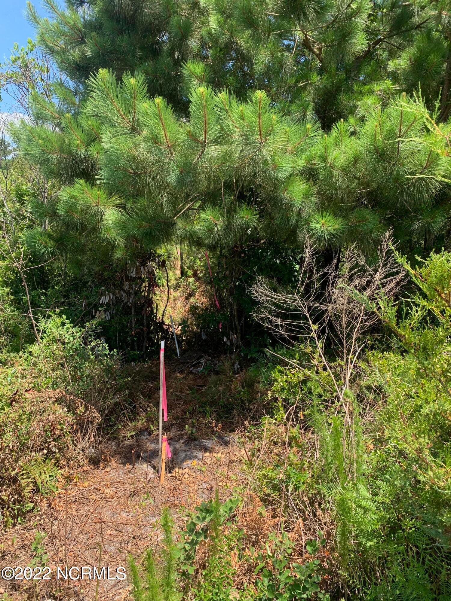 Residential Lot at 276 18 E Ivybridge Drive, Hubert, NC 28539, photo 25 of 25