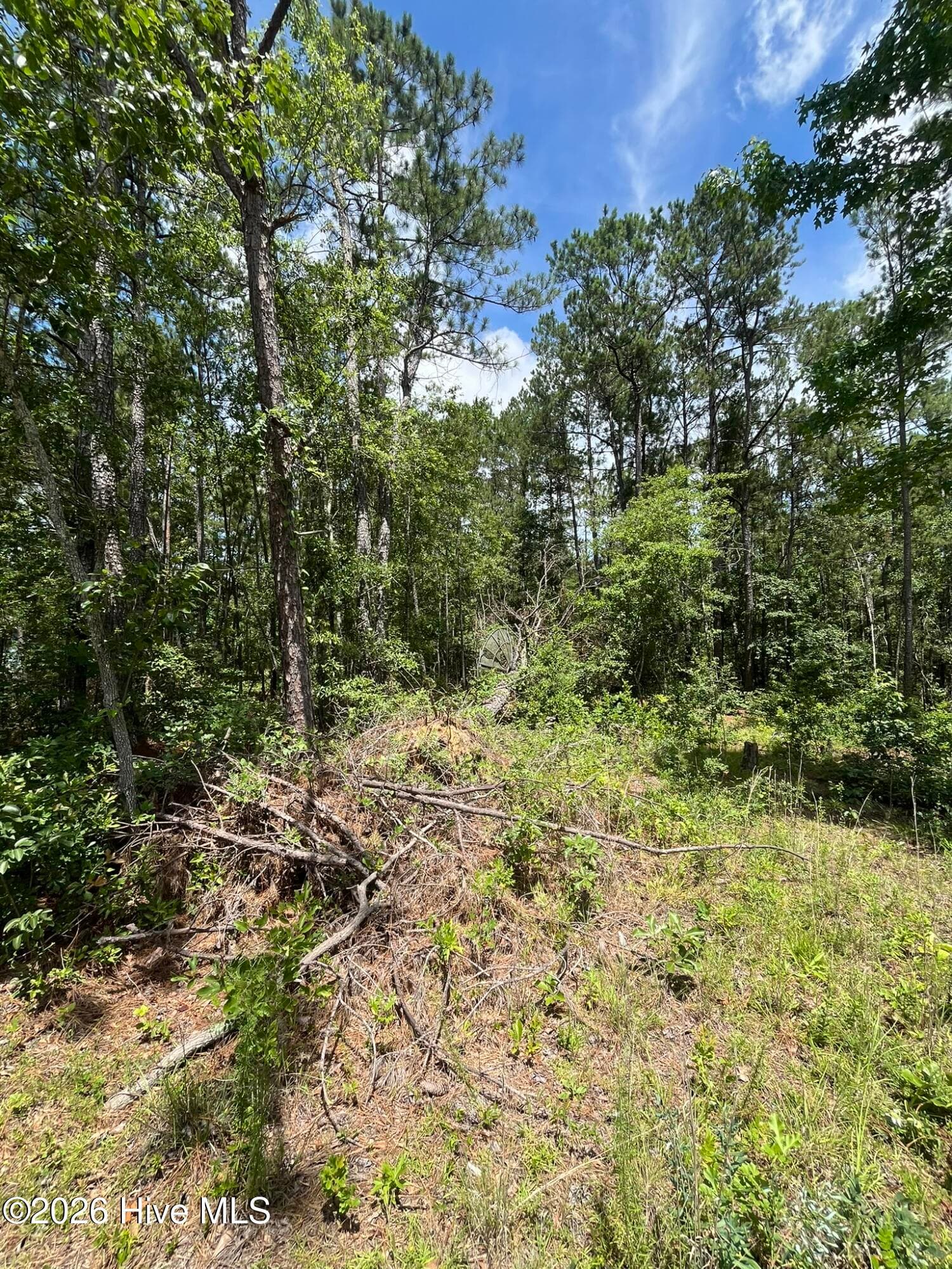 Undeveloped at 160 7 Charlene Drive, Hephzibah, GA 30815, photo 5 of 13