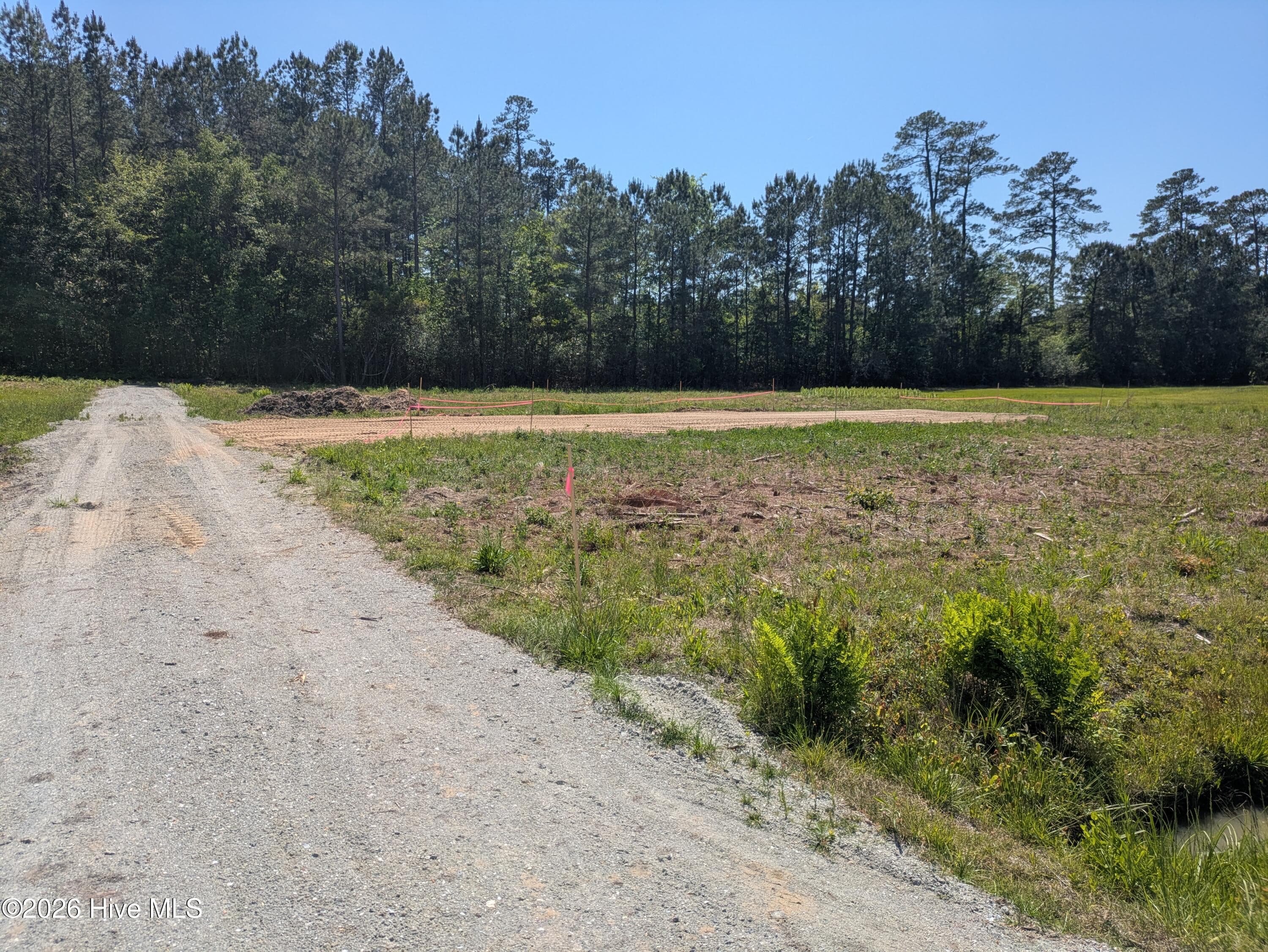 Residential Lot at B b Near 101 Willow Drive, Tabor City, NC 28463, photo 4 of 8