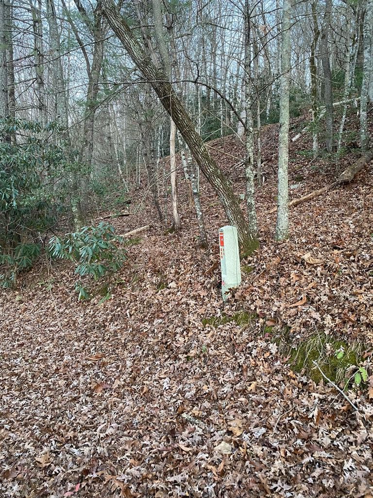 Land at Lot 5 The Landings, Robbinsville, NC 28771