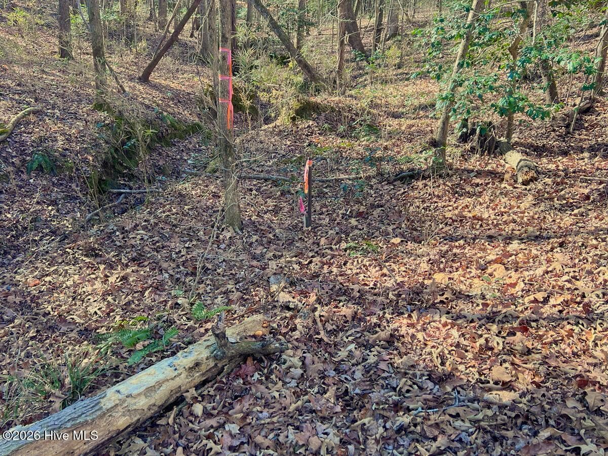 Residential Land at 0 Nc 98 Highway, Spring Hope, NC 27882, photo 32 of 39