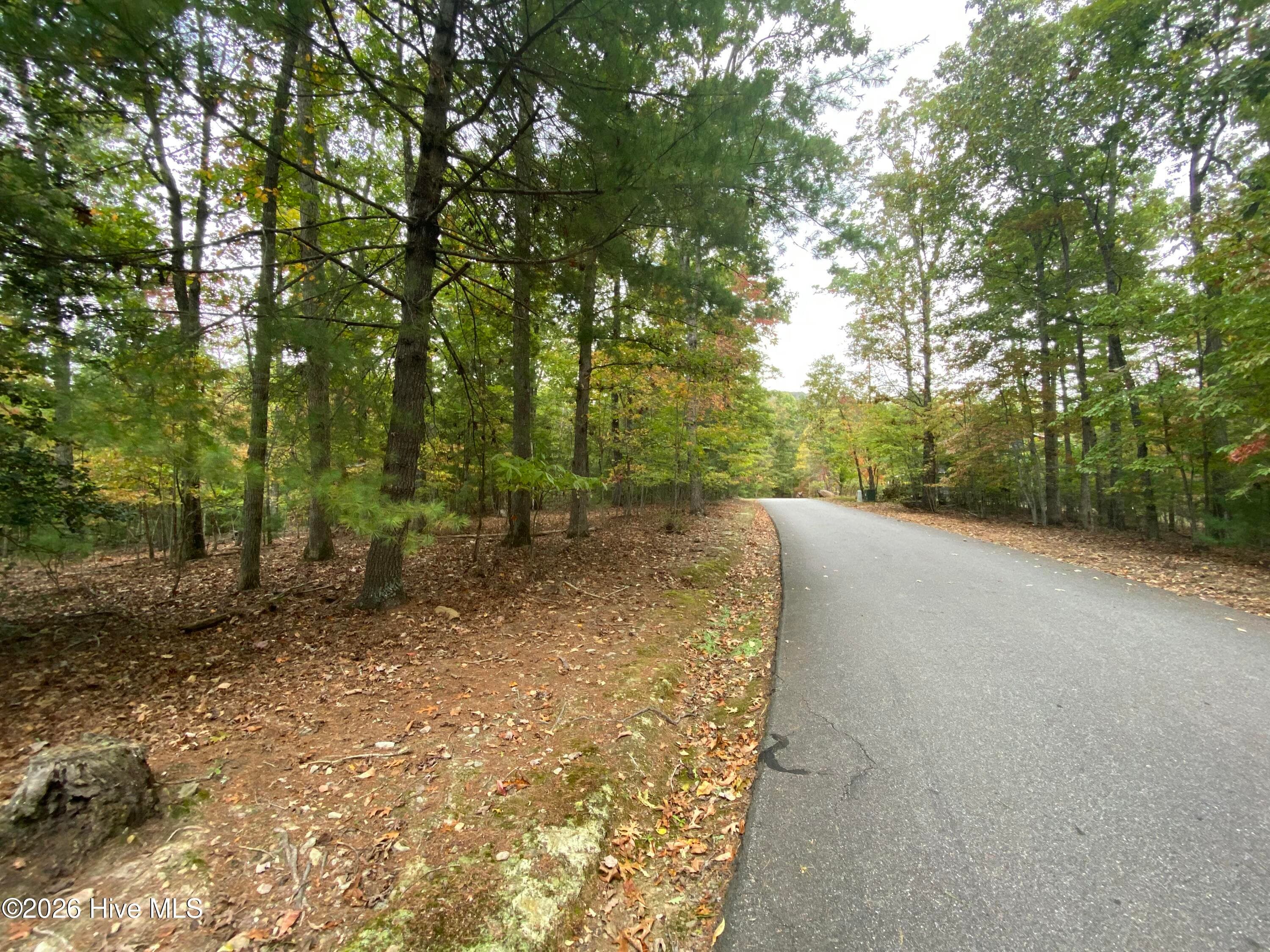 Wooded at 14 14 Mission Ridge, Hayesville, NC 28904, Hayesville, photo 5 of 14
