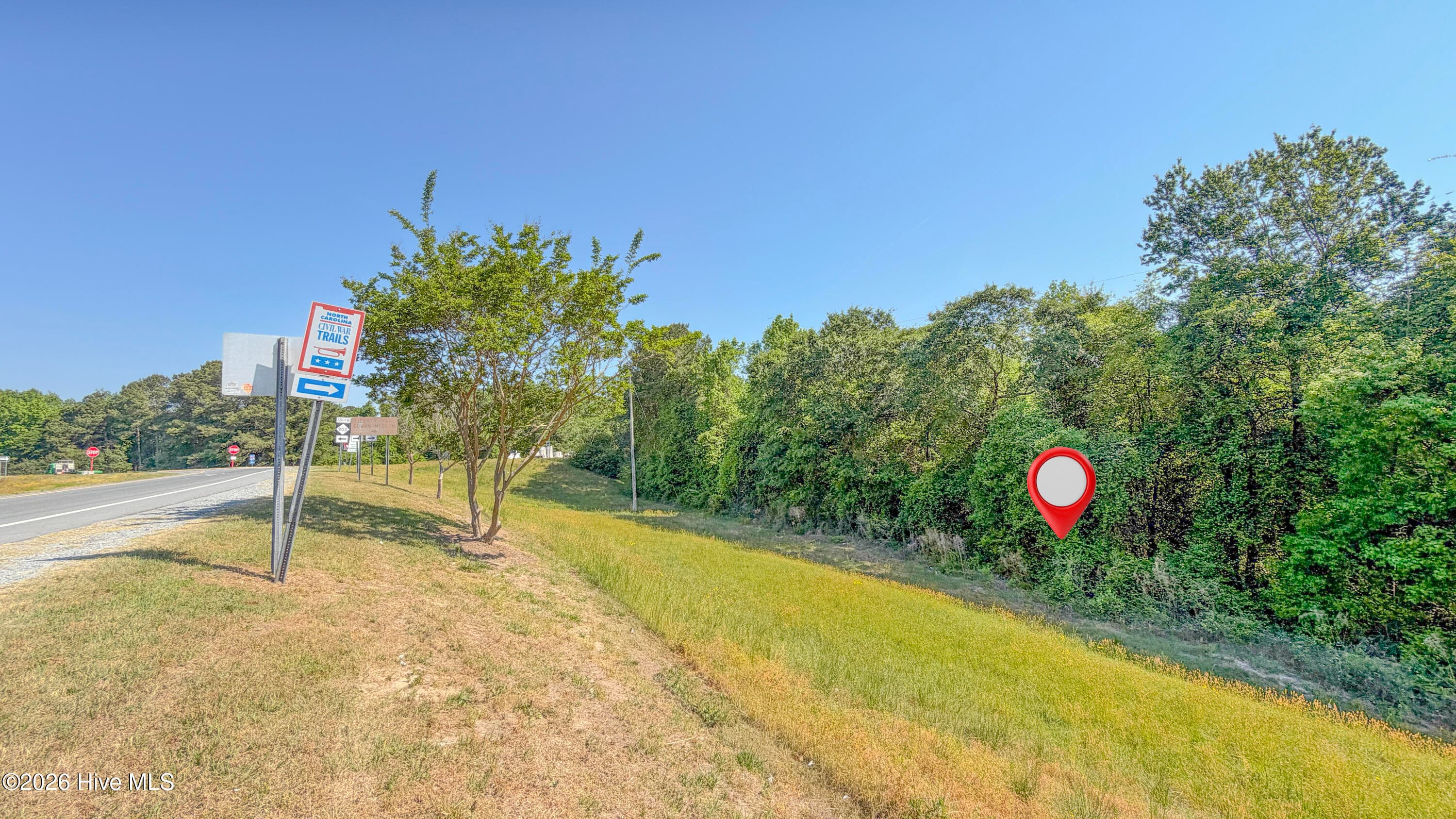 Undeveloped at 1300 Nc-11, Magnolia, NC 28453, photo 8 of 25