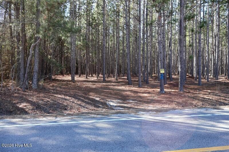 Wooded at Tbd 4 Stuarts Mill Road, Fairmont, NC 28340, photo 5 of 6
