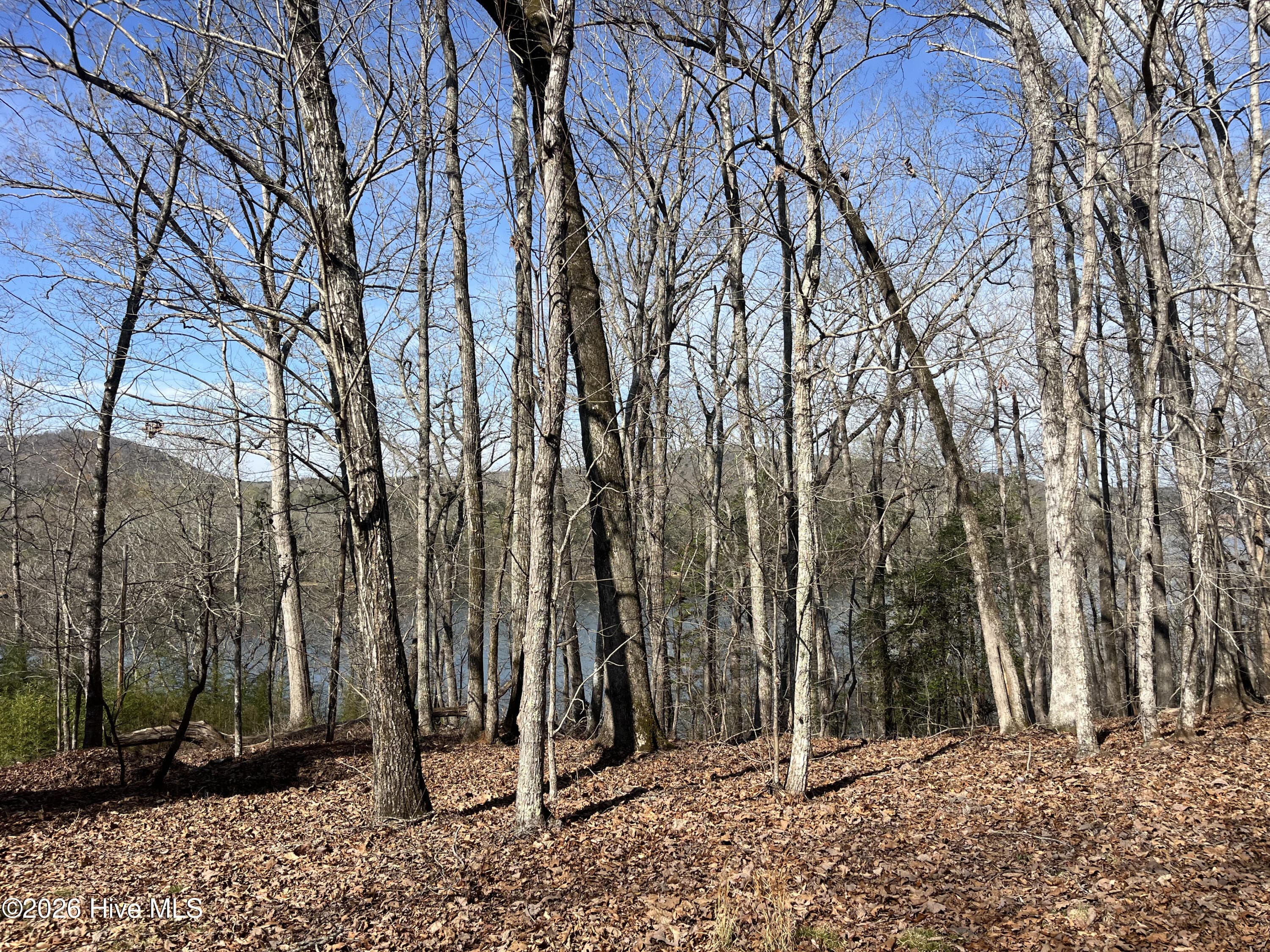 Undeveloped at Tbd Haltiwanger Retreat Road, Troy, NC 27371, photo 12 of 21