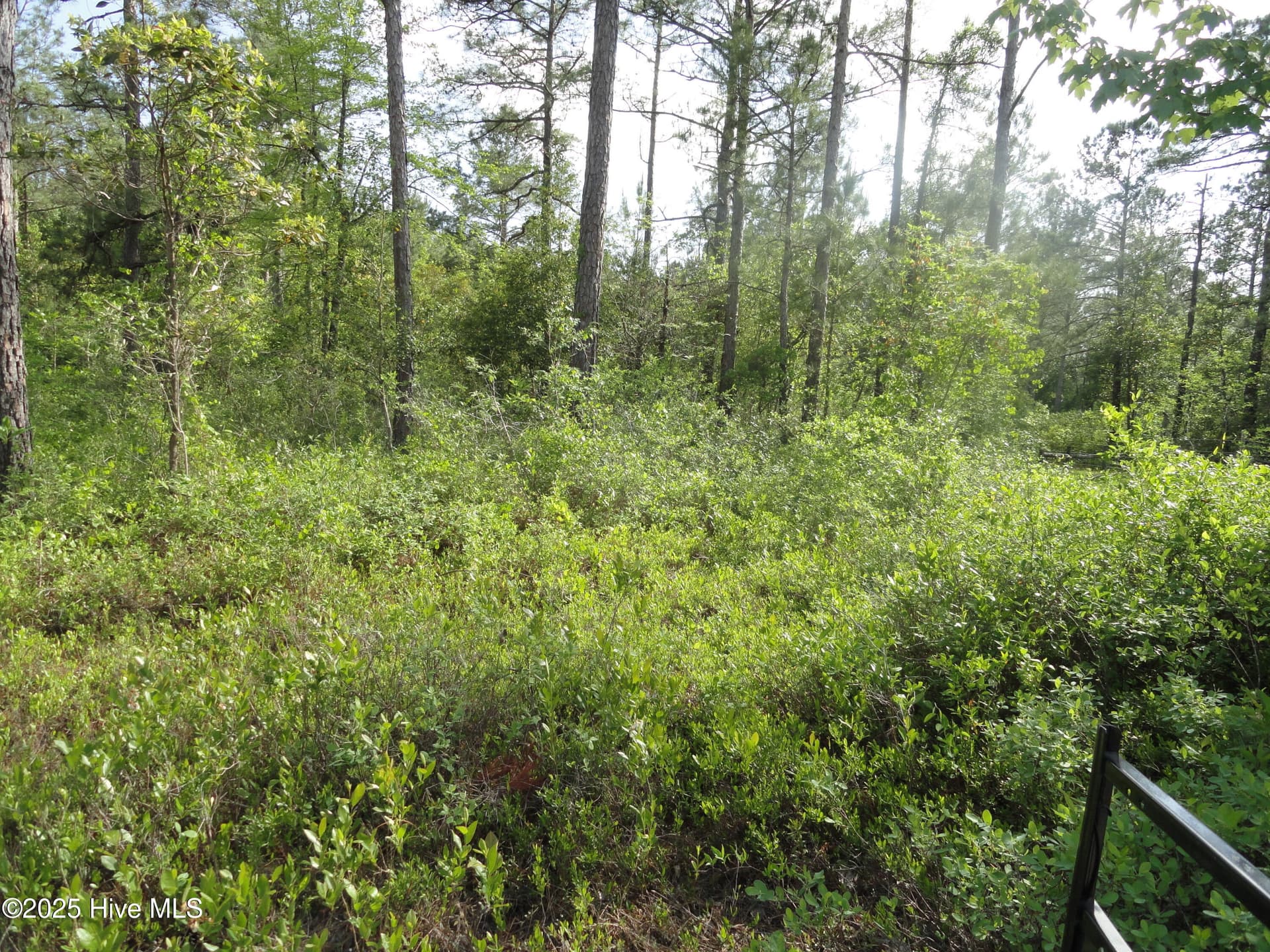 2 River Trail, Burgaw, NC 28425