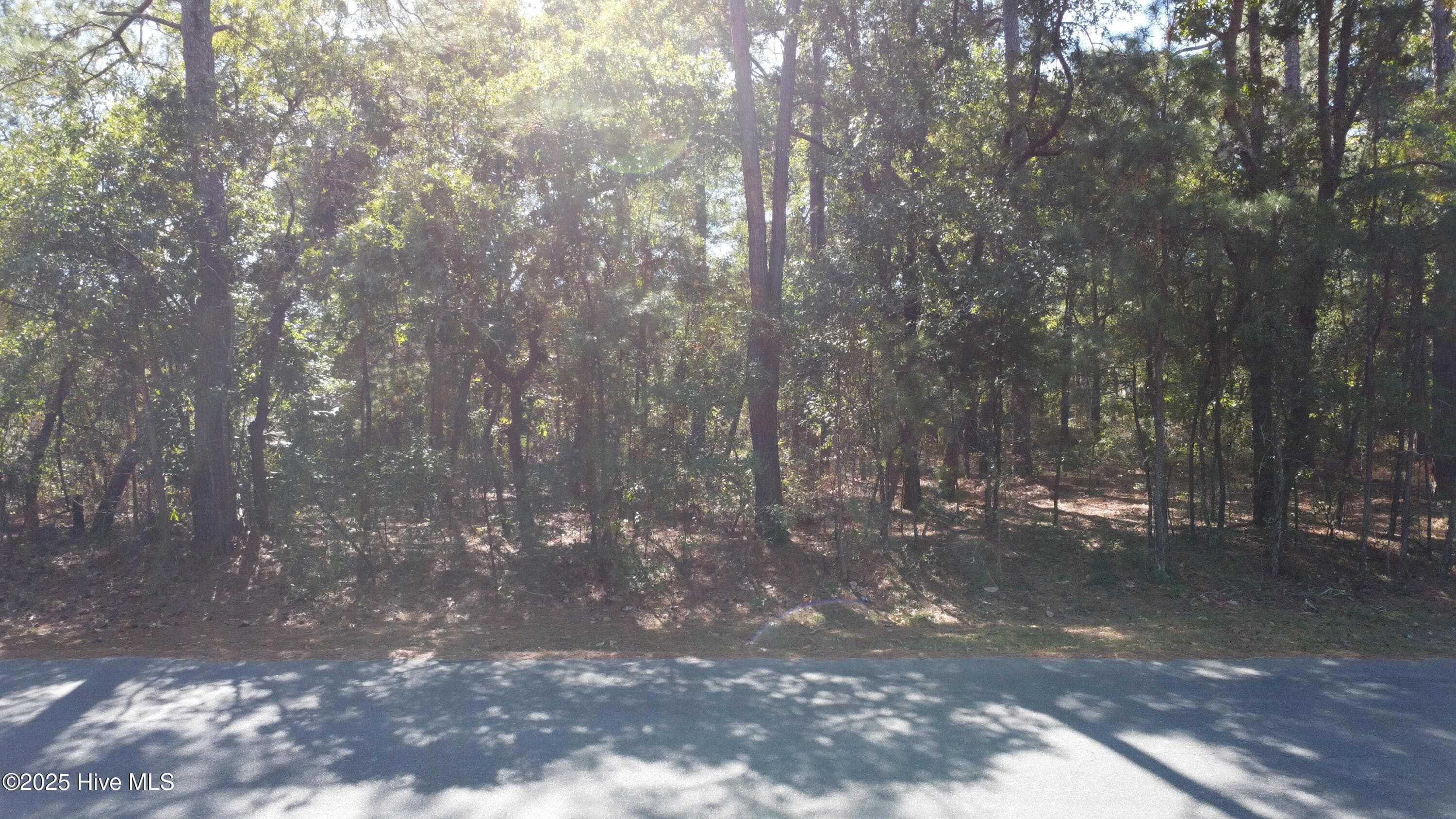 Lot 47 47 Ward Drive, Dudley, NC 28333