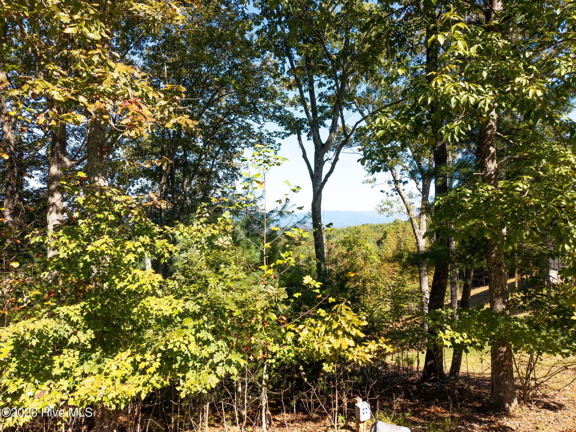 Residential Lot at 310 Skyland Trail, Murphy, NC 28906, photo 4 of 26