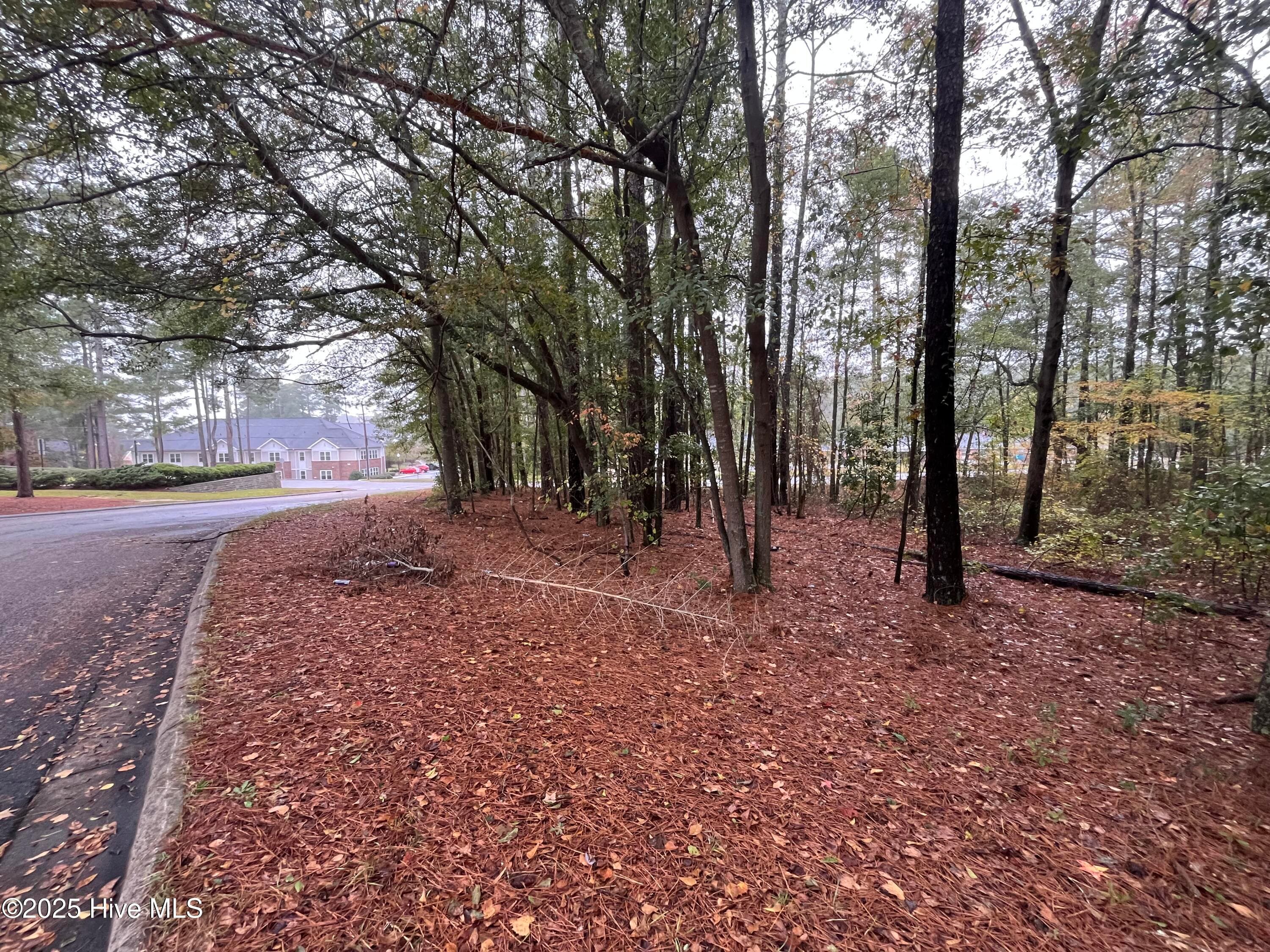 Unimproved Land at 124 Medical Circle, Rockingham, NC 28379, photo 4 of 8