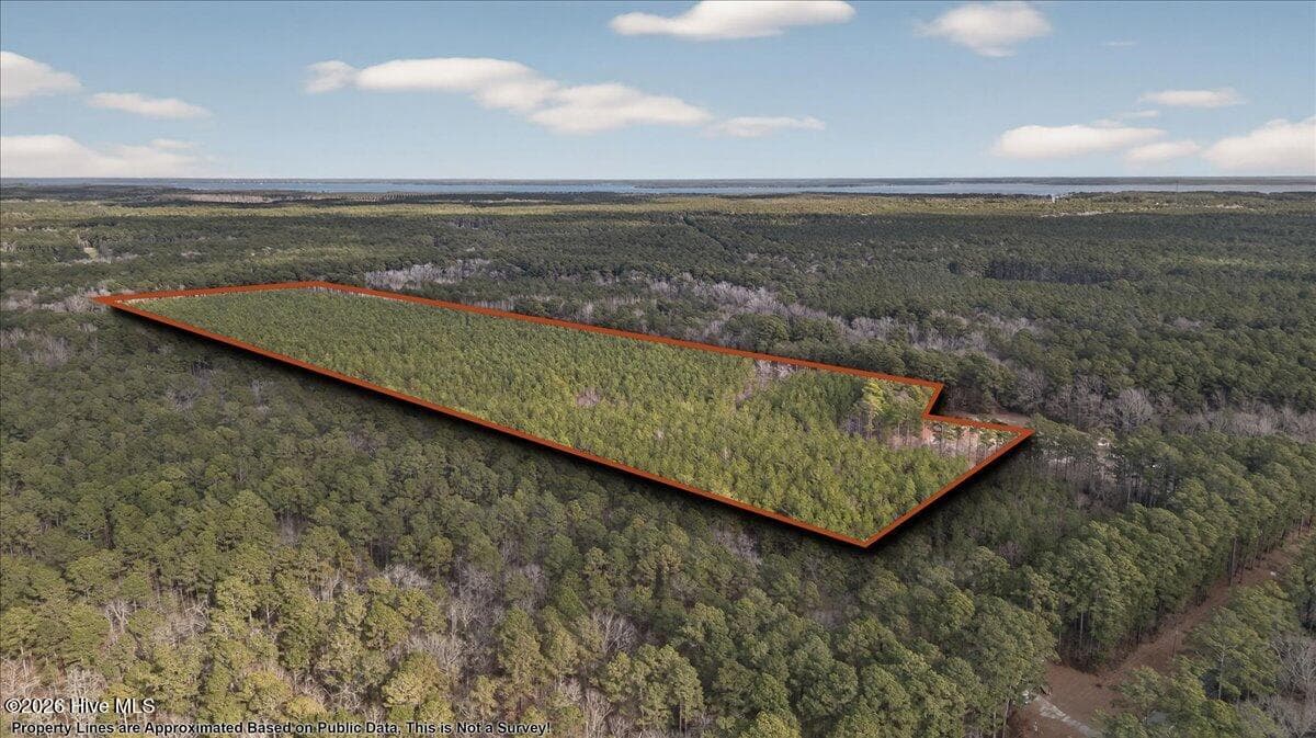 Wooded at 2162 Old Pamlico Beach Road W, Belhaven, NC 27810, photo 10 of 25