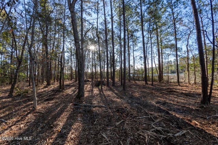 0 Smith Creek Road, Vandemere, NC 28587