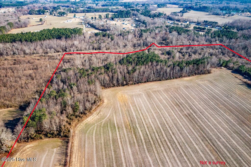 Undeveloped at 203 Lovick Lane, Washington, NC 27889, photo 4 of 7