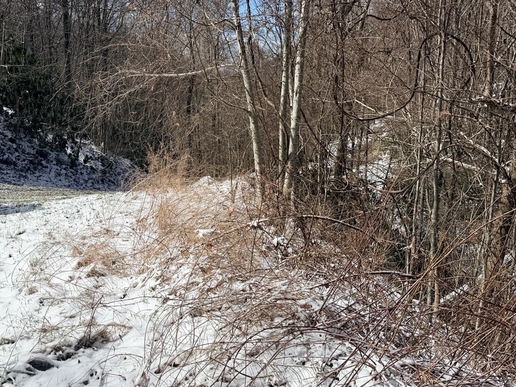 Residential Lot at Lot# 13 13 Noon Day Sun Road, Topton, NC 28781, photo 7 of 7