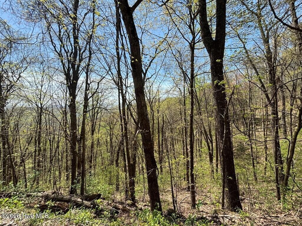 Wooded at Lot 4 Outlook Road, Murphy, NC 28906, photo 6 of 10