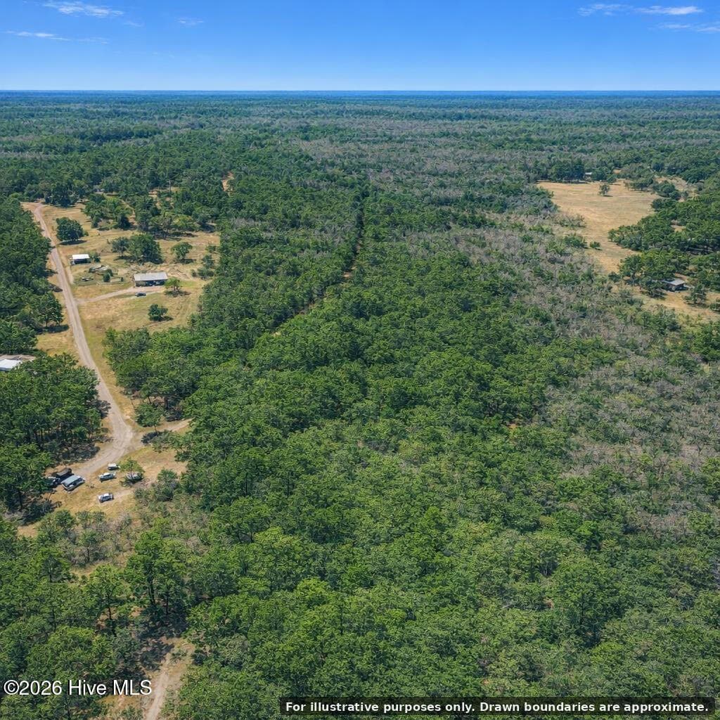 Undeveloped at 0 Copperhead Lane, Burgaw, NC 28425, photo 21 of 24