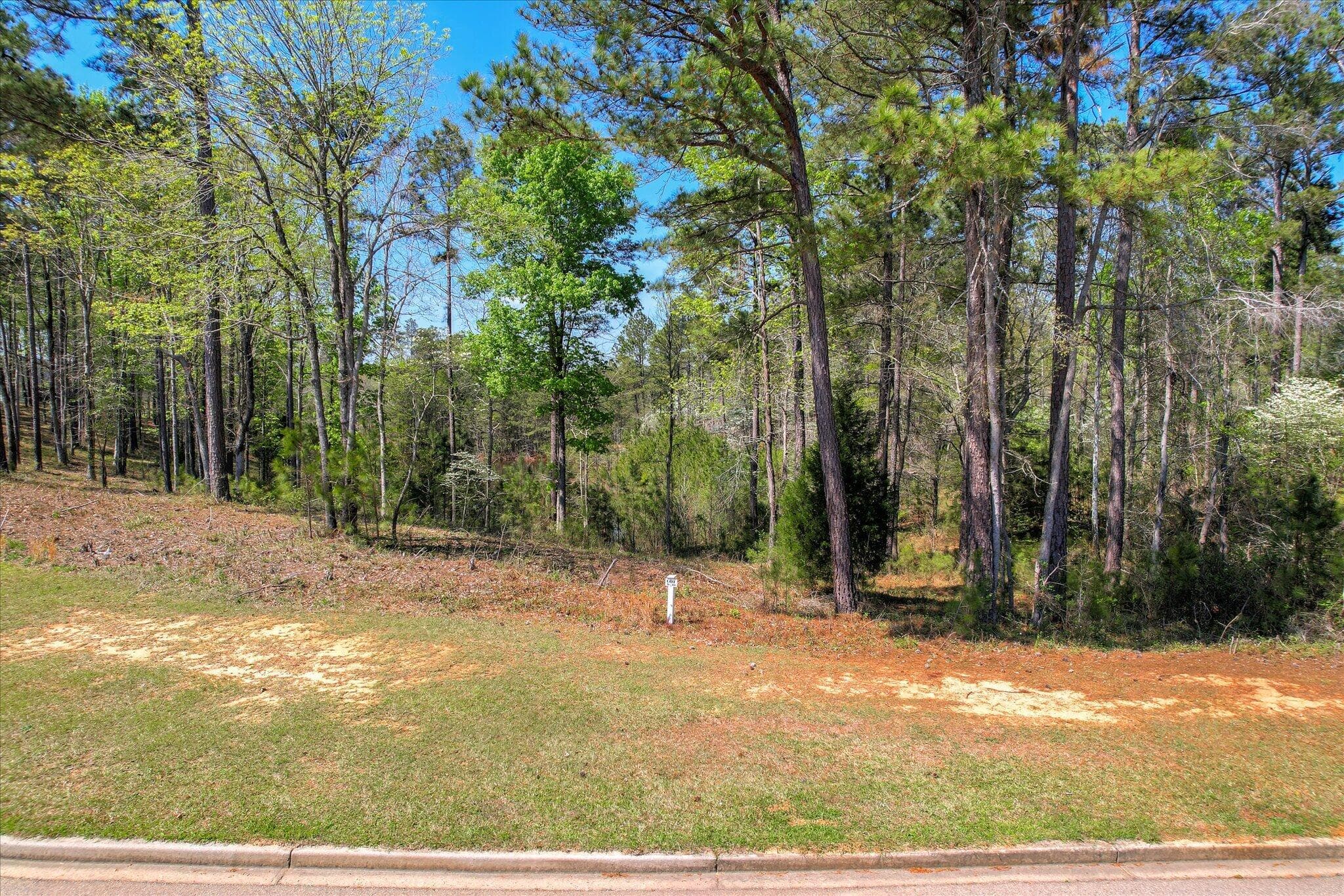 Residential Lot at Lot N-030 N-030 Captain Johnsons Drive, North Augusta, SC 29860, photo 6 of 22