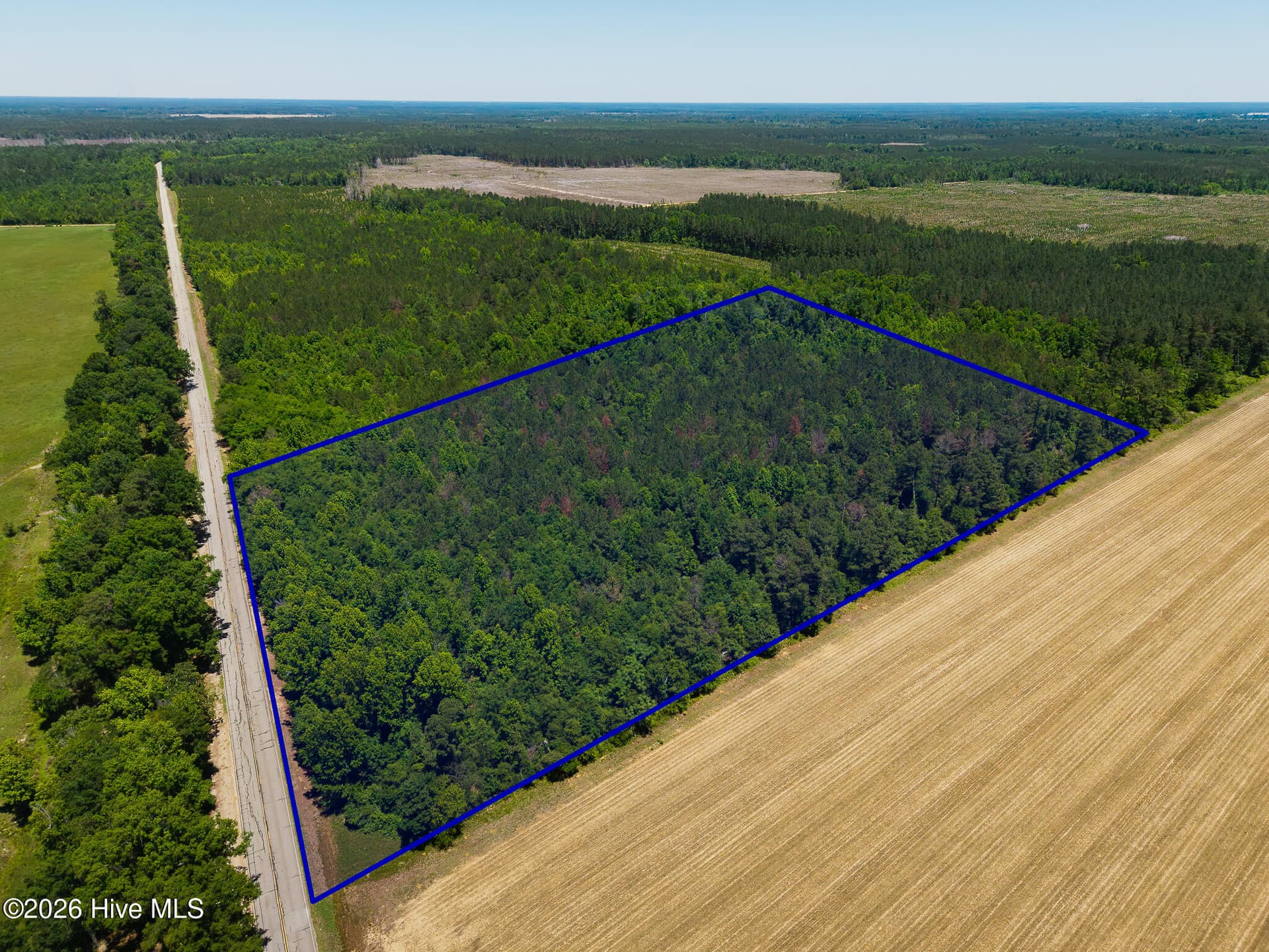 Undeveloped at 18.5 Acres Georgia 305 Highway, Midville, GA 30441, photo 4 of 7