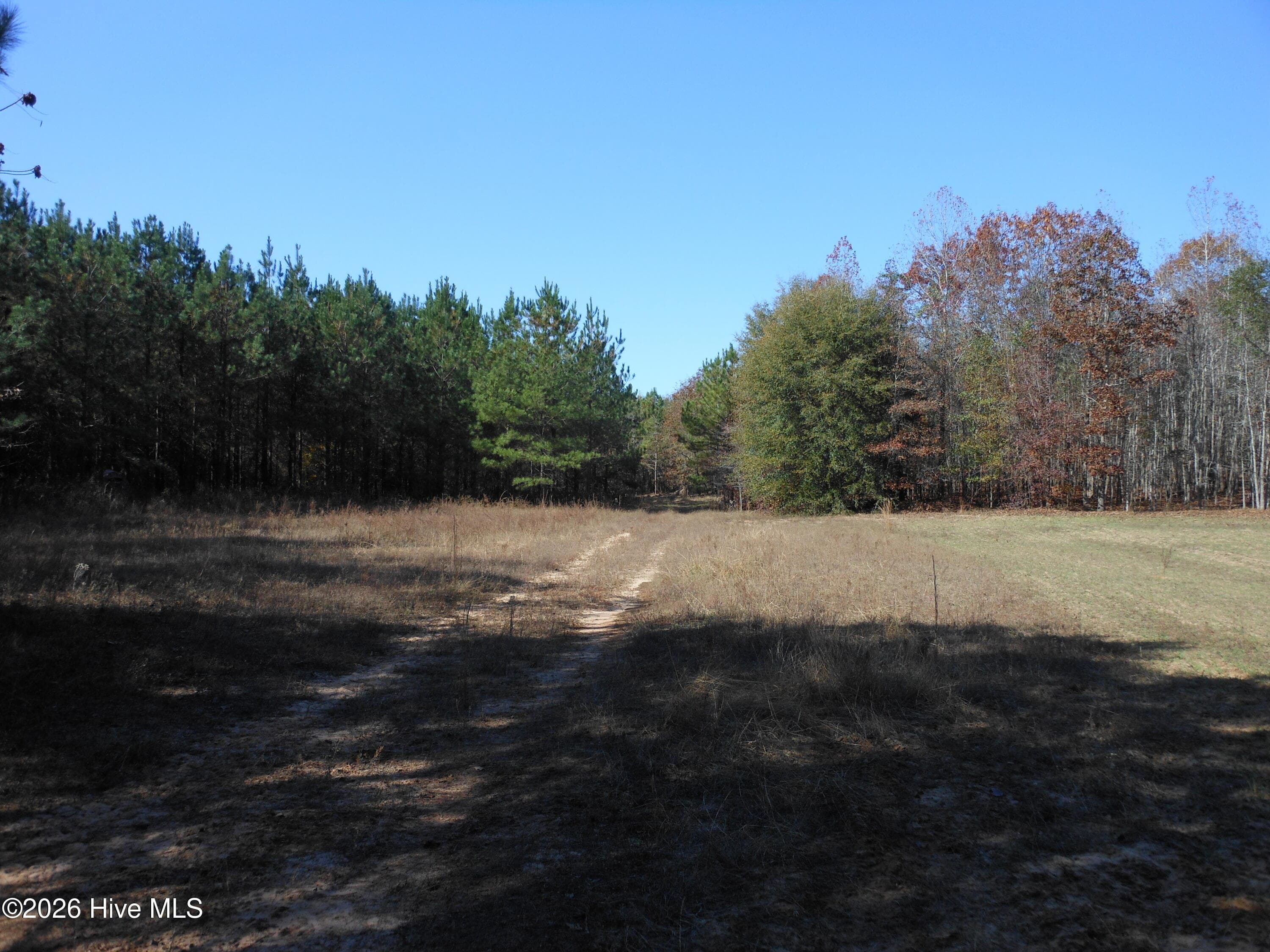 Undeveloped at 1447 Greiner Circle, Hephzibah, GA 30815, photo 8 of 10