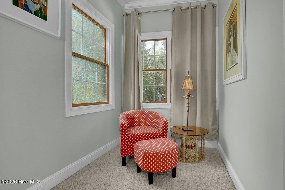 Single Family Residence at 615 Ravenswood Road, Hampstead, NC 28443, photo 17 of 47
