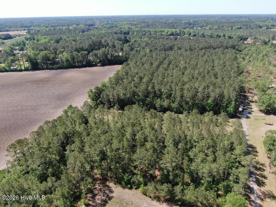 Wooded at 20.51 Acre Sweat Drive, Bladenboro, NC 28320, photo 15 of 16