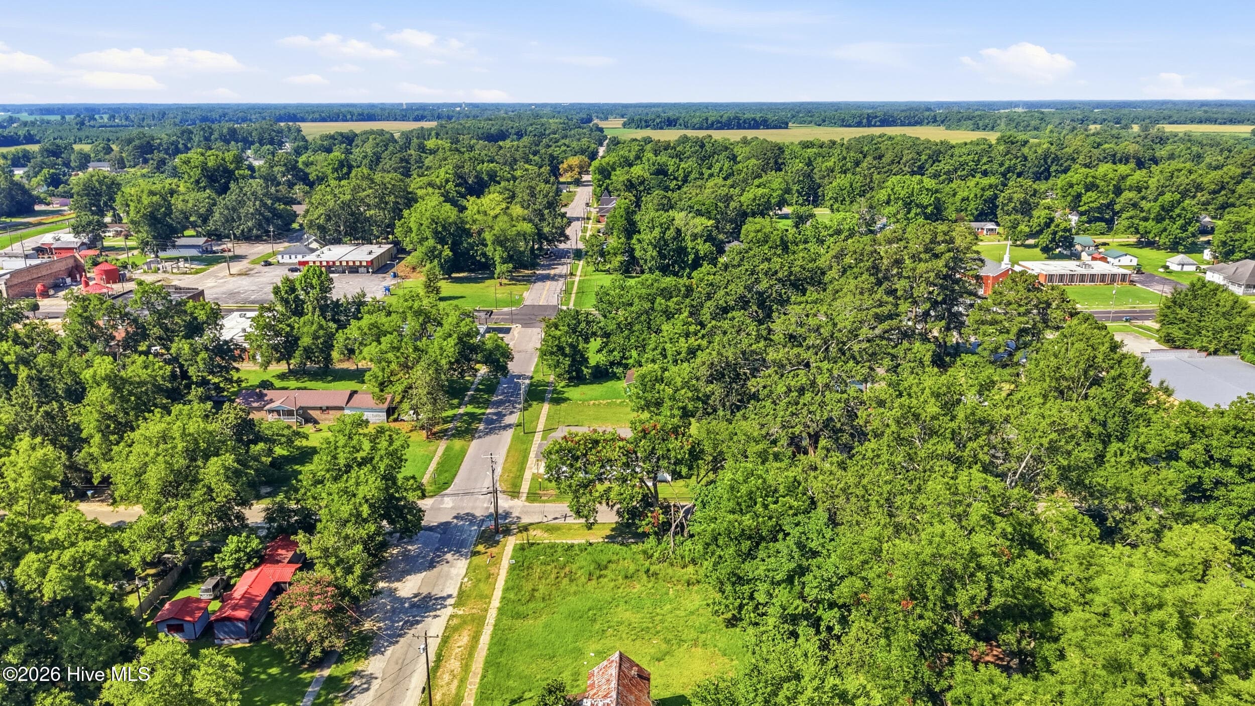 Residential Lot at 201 Martin Luther King Street, Rowland, NC 28383, photo 9 of 12