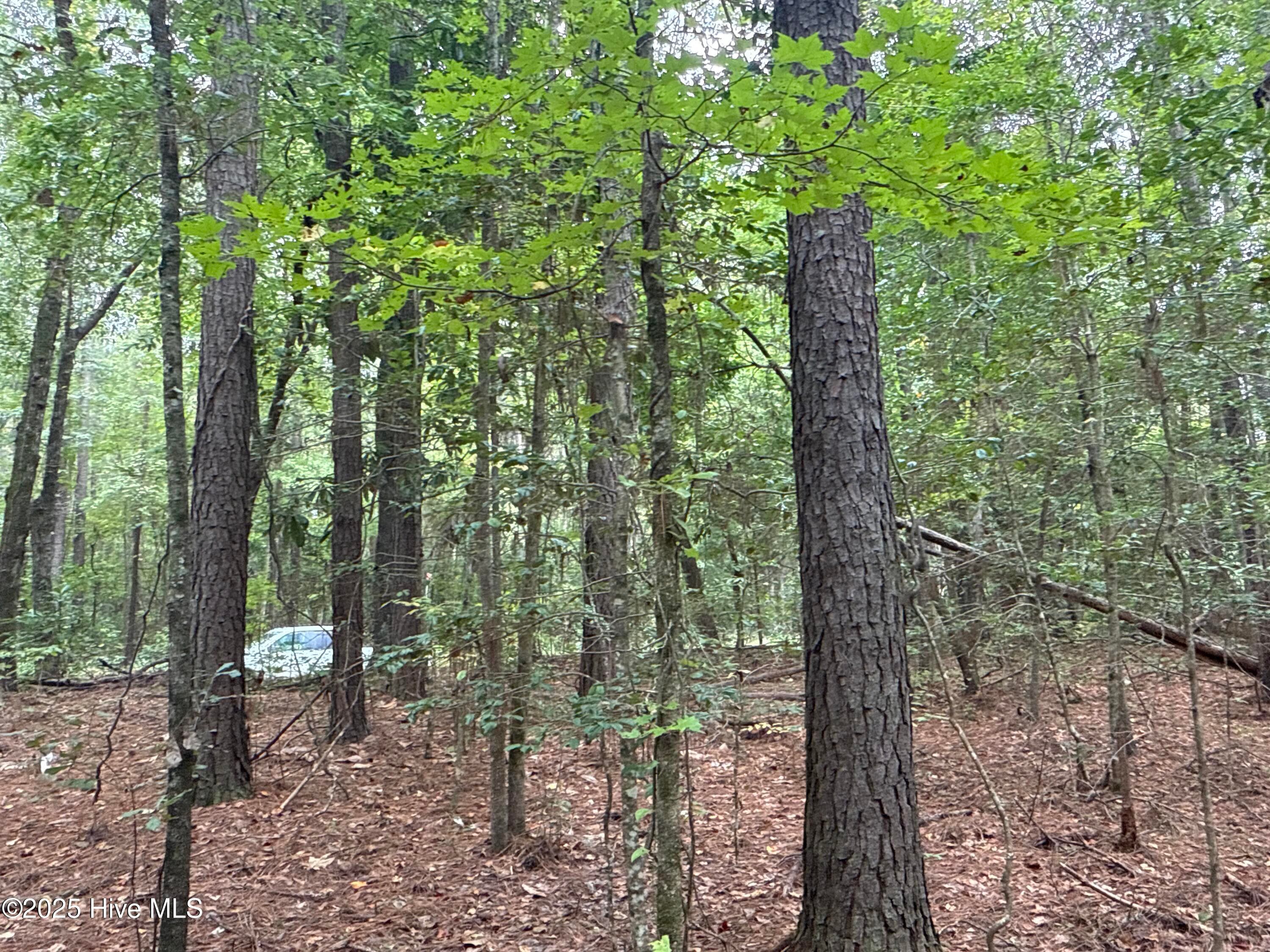 Recreation at 0 Creekmur Road, Edward, NC 27821, photo 9 of 13
