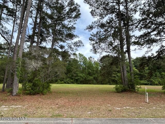 Cleared and level lot backs up to HOA owned property! No building lot behind it! - 597 22 Lindgrove Place SW, Ocean Isle Beach, NC 28469