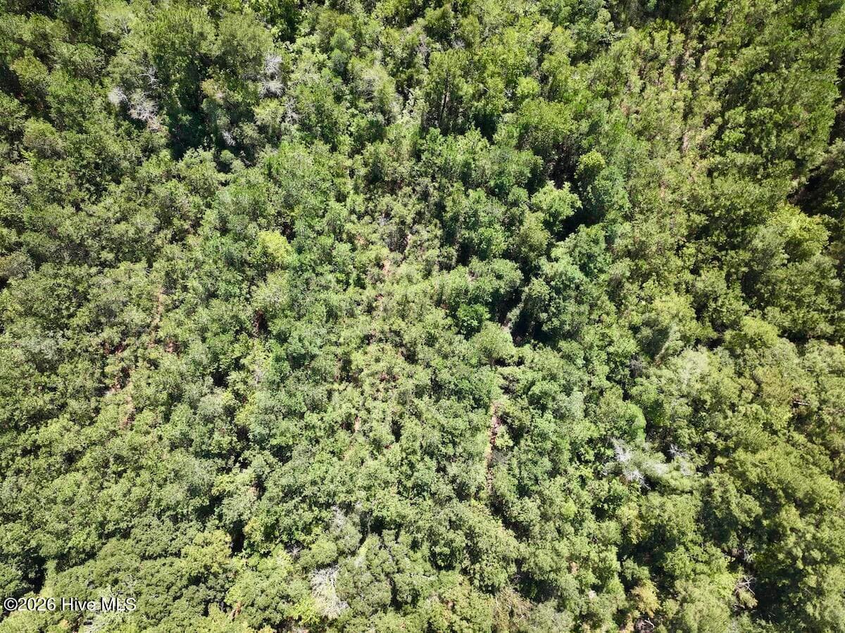 Recreation at 00 Hwy 258 S, Deep Run, NC 28525, Deep Run, photo 13 of 39