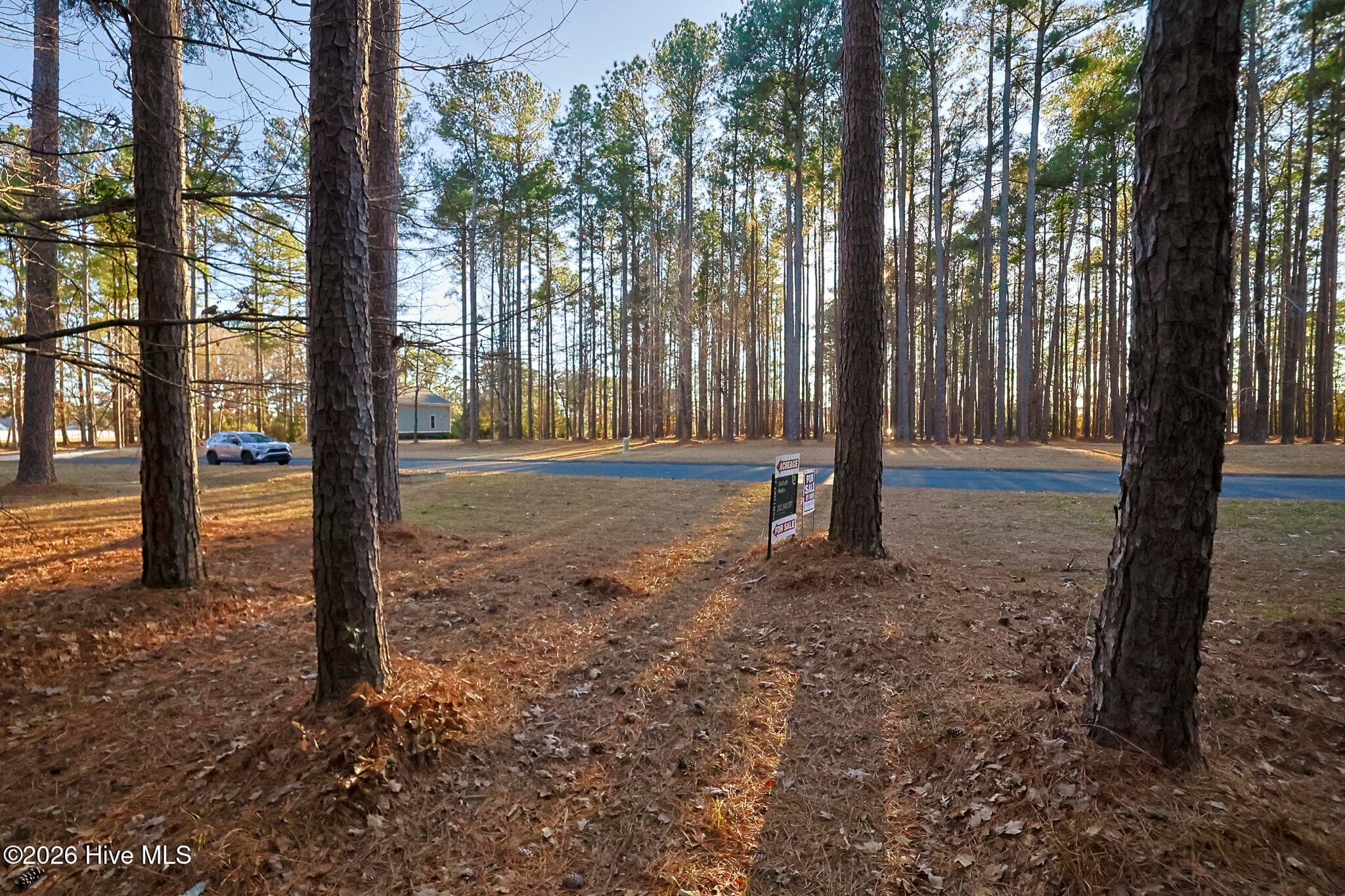 Wooded at 88 22 Cape Hatteras Point, Oriental, NC 28571, photo 6 of 9