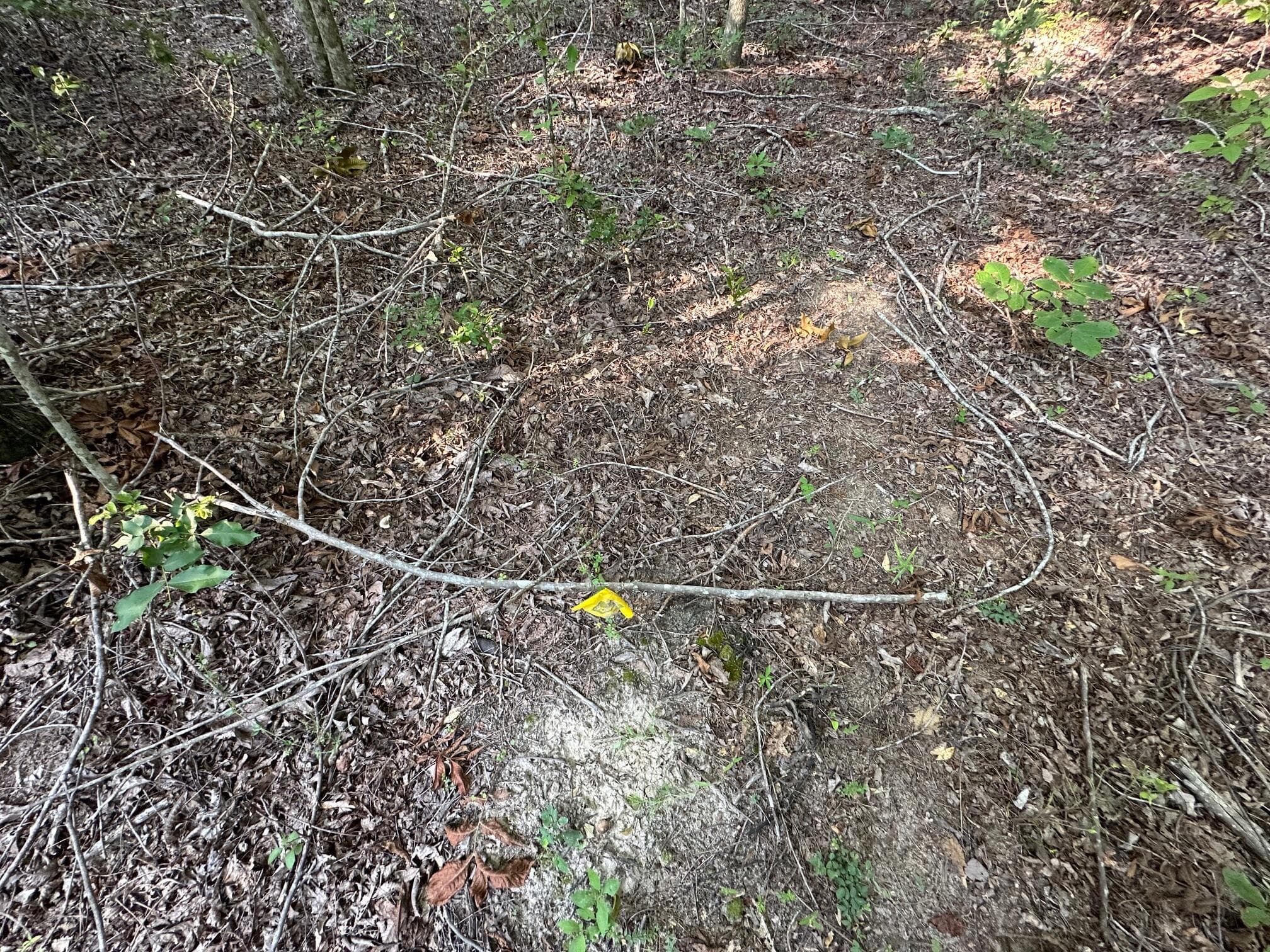 Undeveloped at 2576 Jessie James Pond Road, Wrens, GA 30833, photo 44 of 56