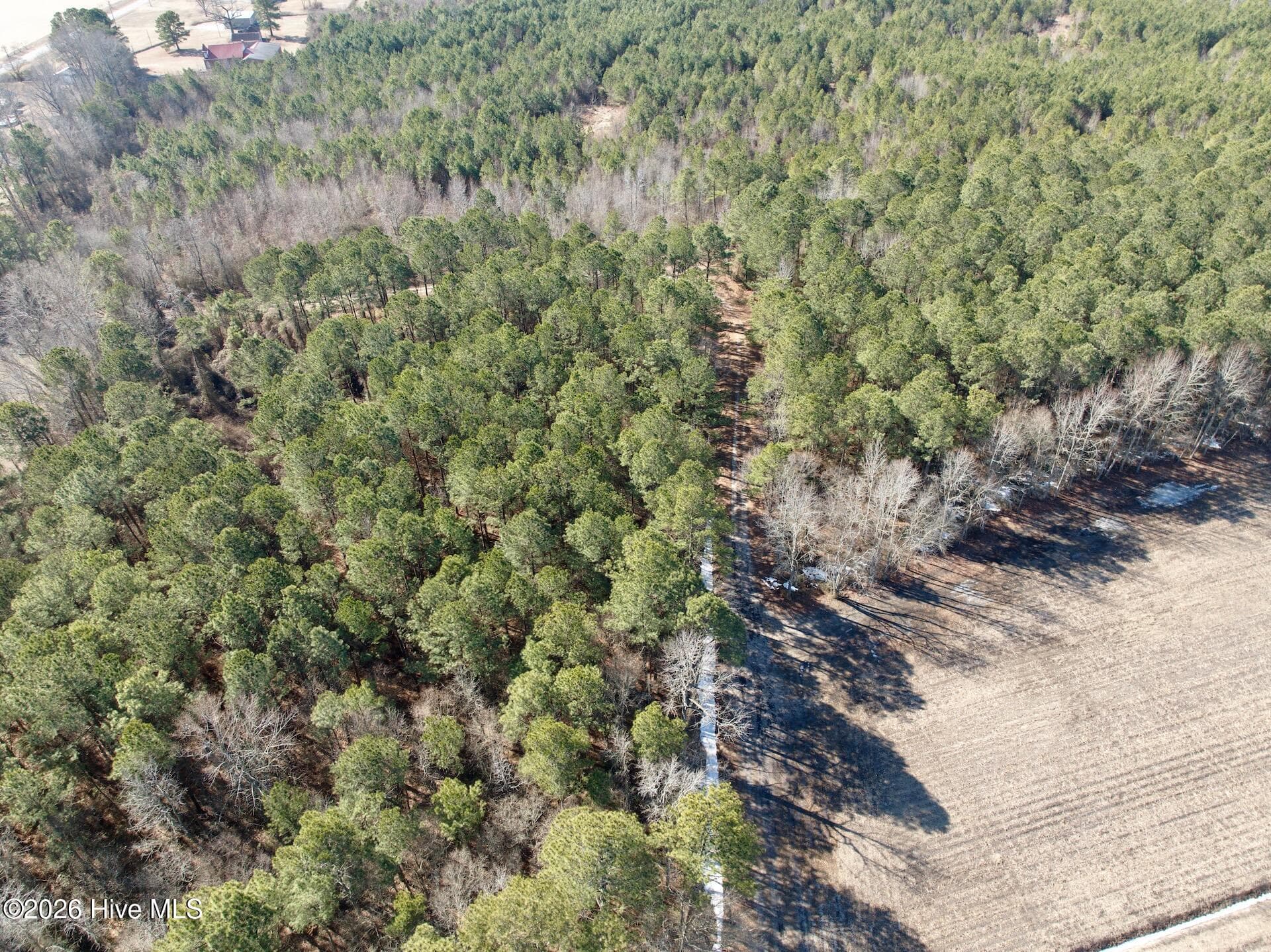 Farm at 0 Sandy Ridge Road, Tyner, NC 27980, photo 4 of 5