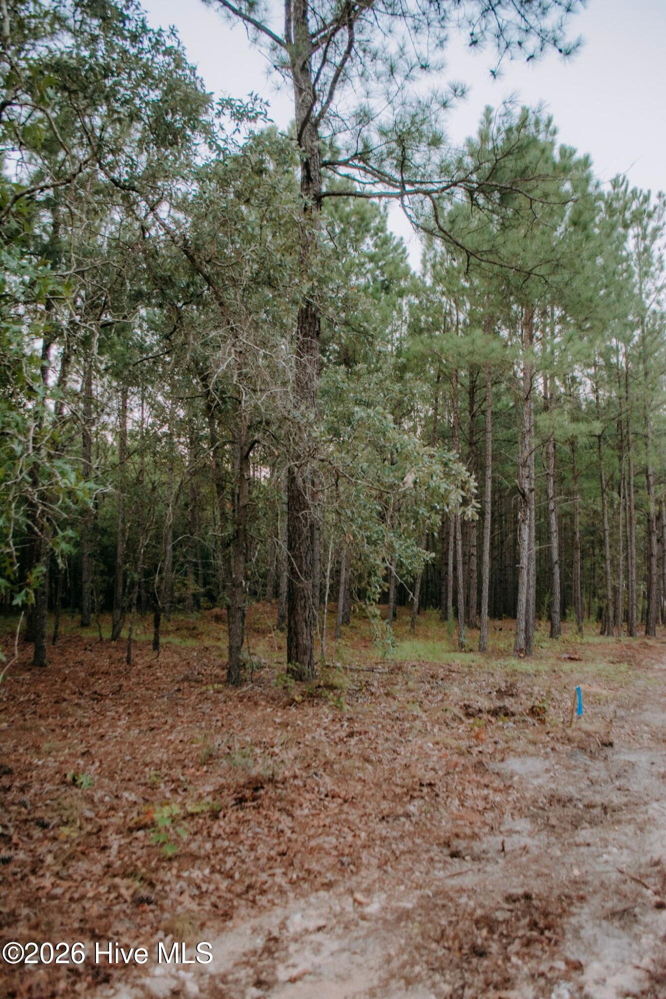 Residential Lot at Lot 1-Tbd Nighthawk Loop, Aberdeen, NC 28315, photo 3 of 4