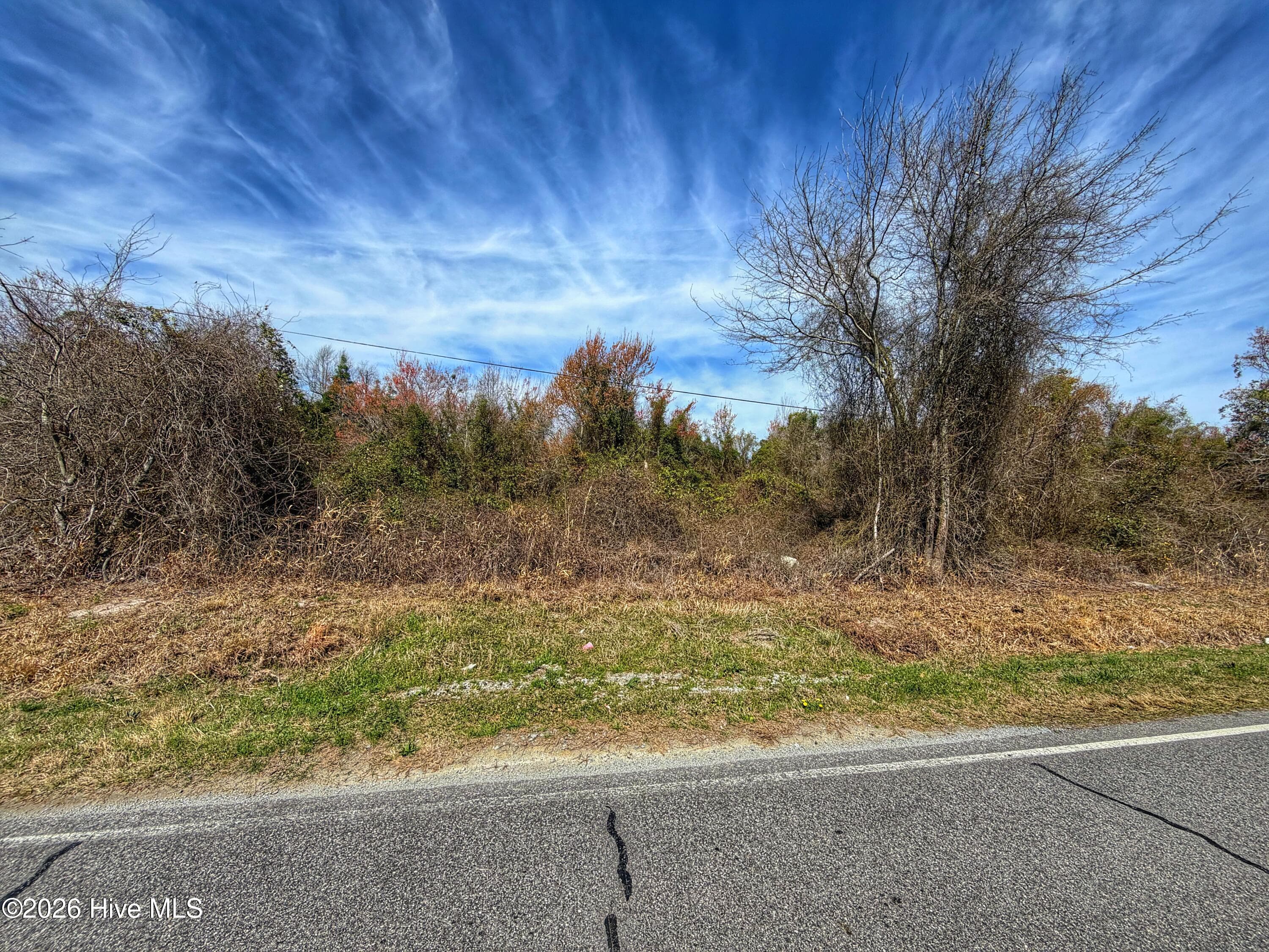 Wooded at 1612 Rocky Hock Landing Road, Edenton, NC 27932, photo 5 of 45
