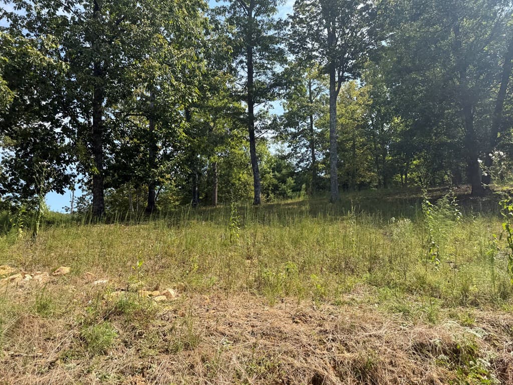 Residential Lot at 123 Madison Lane, Murphy, NC 28906, photo 4 of 10