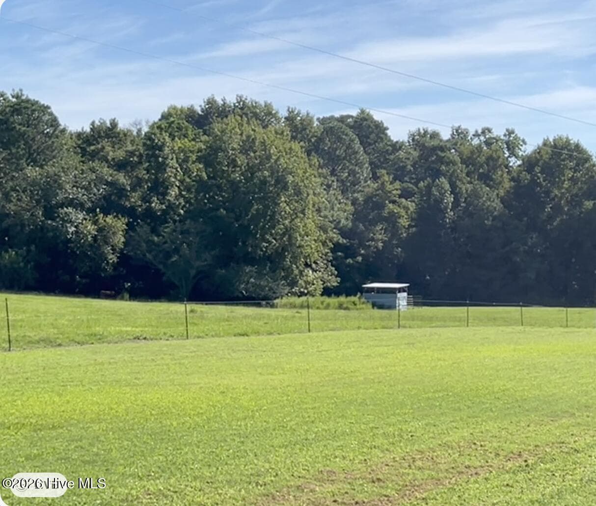 Pasture where cows and donkey roam. - 642 Enoch Road, Clinton, NC 28328