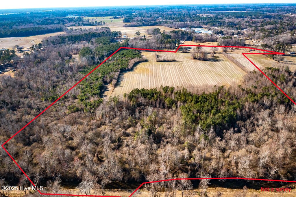 Undeveloped at 203 Lovick Lane, Washington, NC 27889, photo 5 of 7
