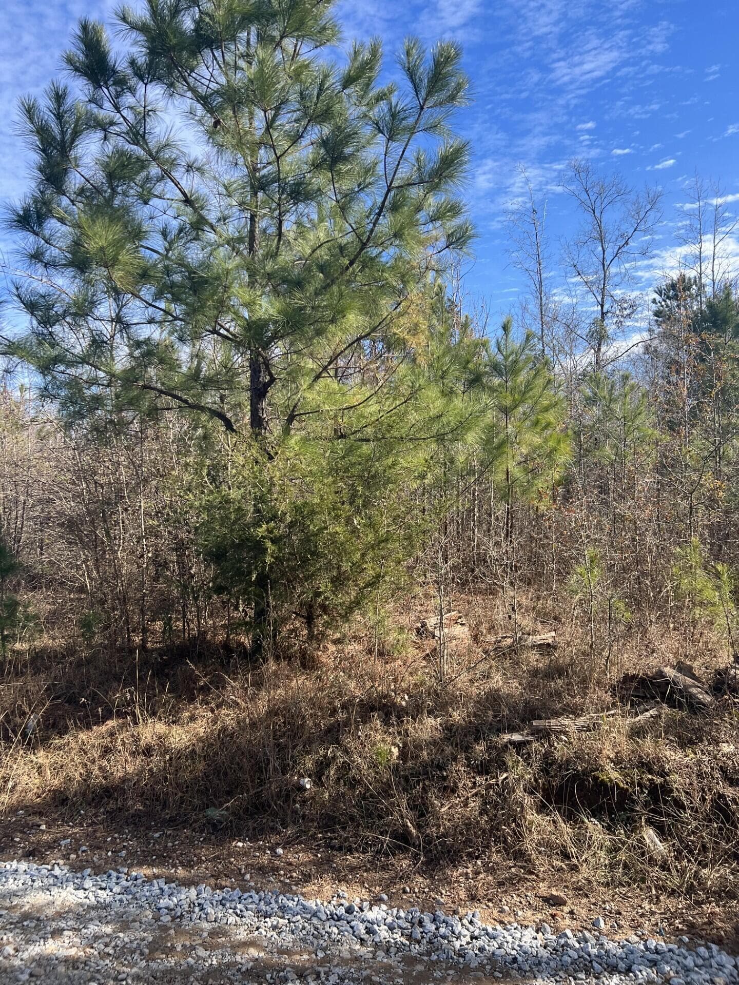 Residential Lot at 0 Clanton Road, Evans, GA 30809, photo 3 of 10