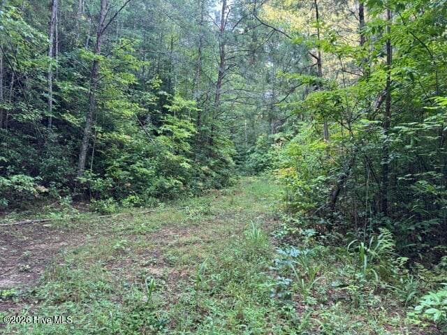Residential Lot at 3 Tyler Lane, Marble, NC 28905, photo 3 of 3