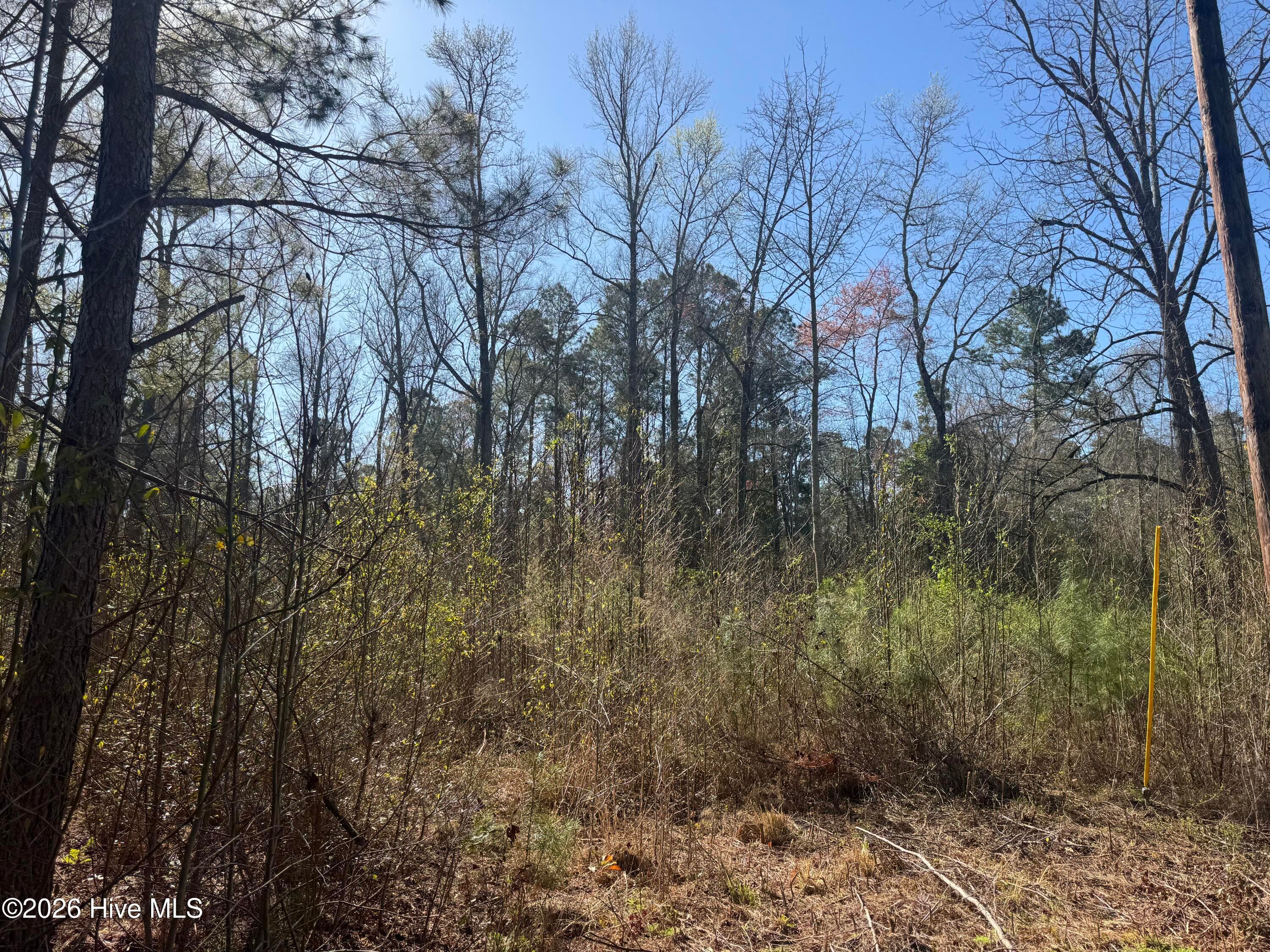 Mixed Use at 0 2 & 3 Little Prong Road NW, Ash, NC 28420, photo 4 of 7