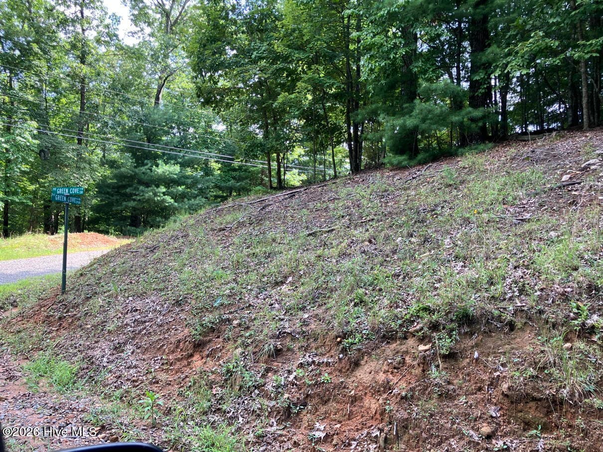 Undeveloped at 11 11 Green Cove Circle, Murphy, NC 28906, photo 8 of 8