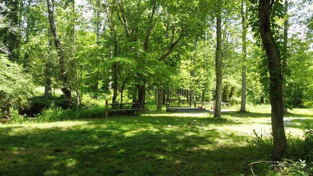 Land at Tract 1 Timber Ridge Road, Blairsville, GA 30512, photo 4 of 19