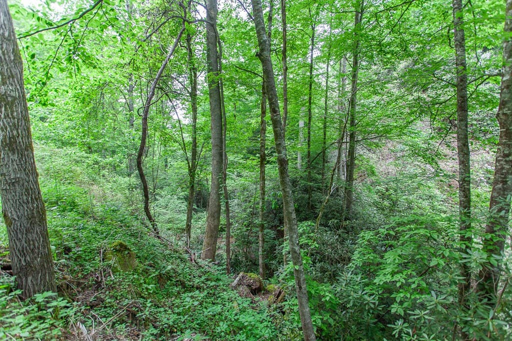 Land at 399 Shell Stand Road, Almond, NC 28702, photo 20 of 21