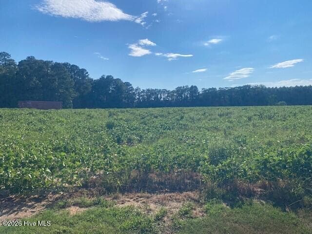 Undeveloped at 0 Stott Road, Bailey, NC 27807, photo 4 of 12