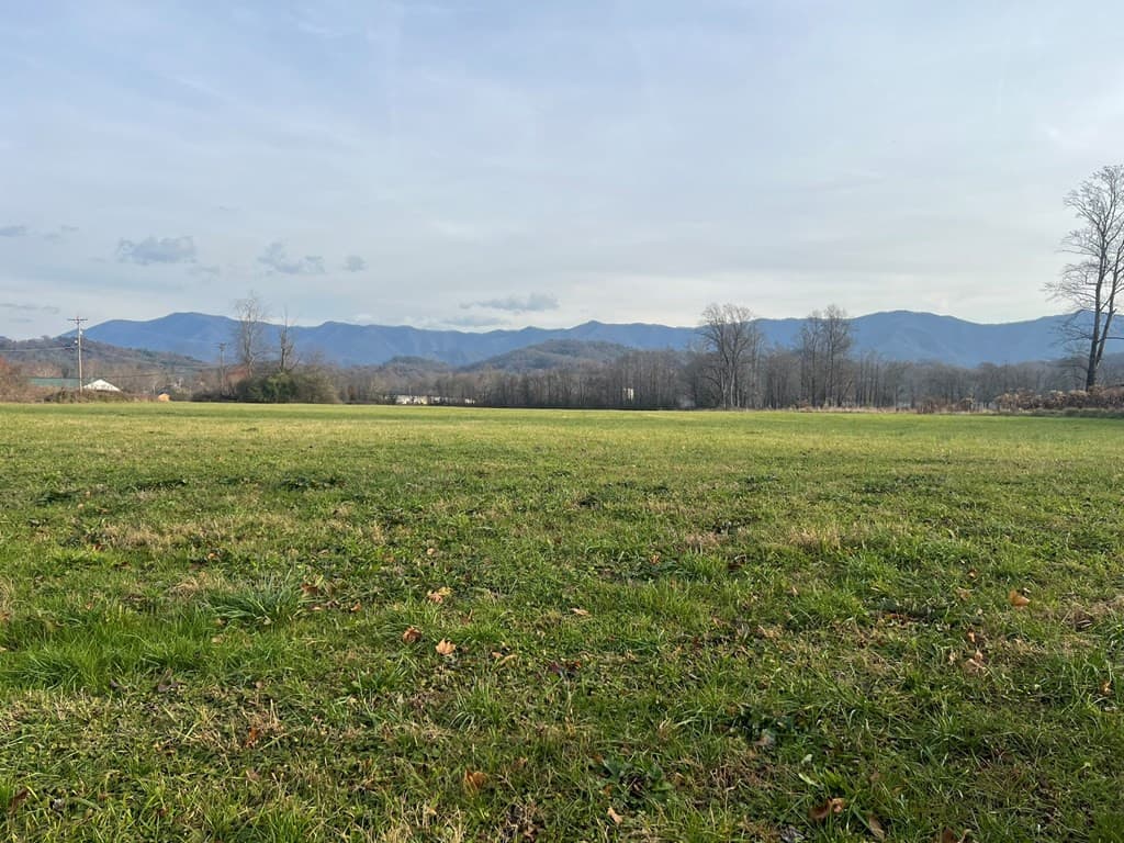 Land at 00 Main & Whitaker, Andrews, NC 28901, photo 8 of 11