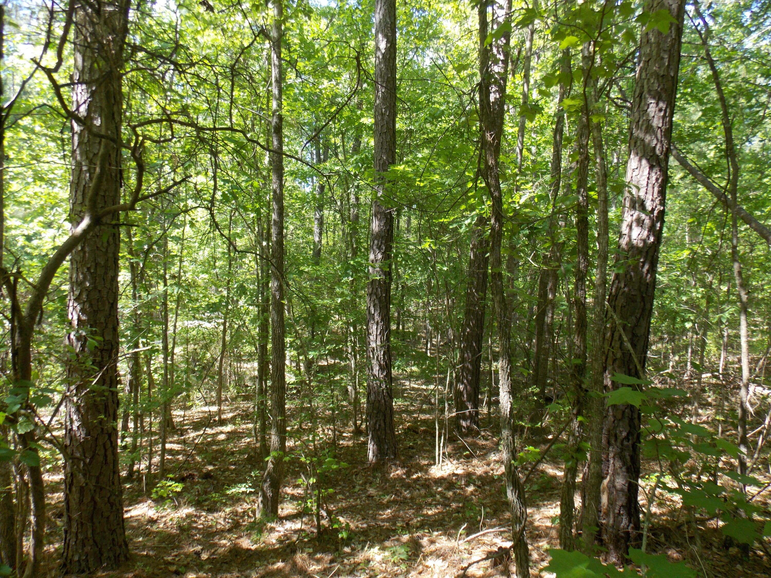 Residential Lot at 12 12 Doe Run, Lincolnton, GA 30817, photo 3 of 3