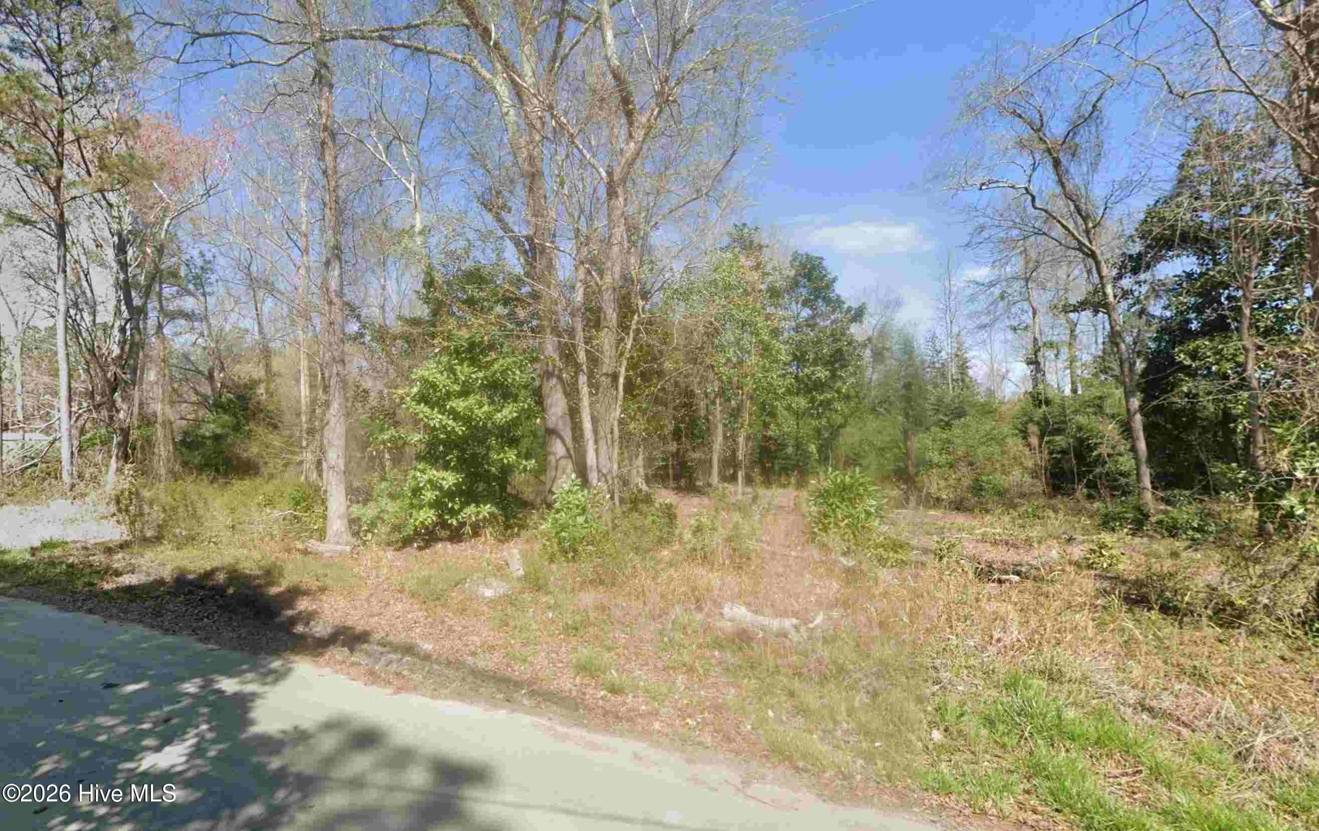 Road Frontage View from Dees Ave March 2024 - 314 Multiple Lots Dees Avenue, Bayboro, NC 28515