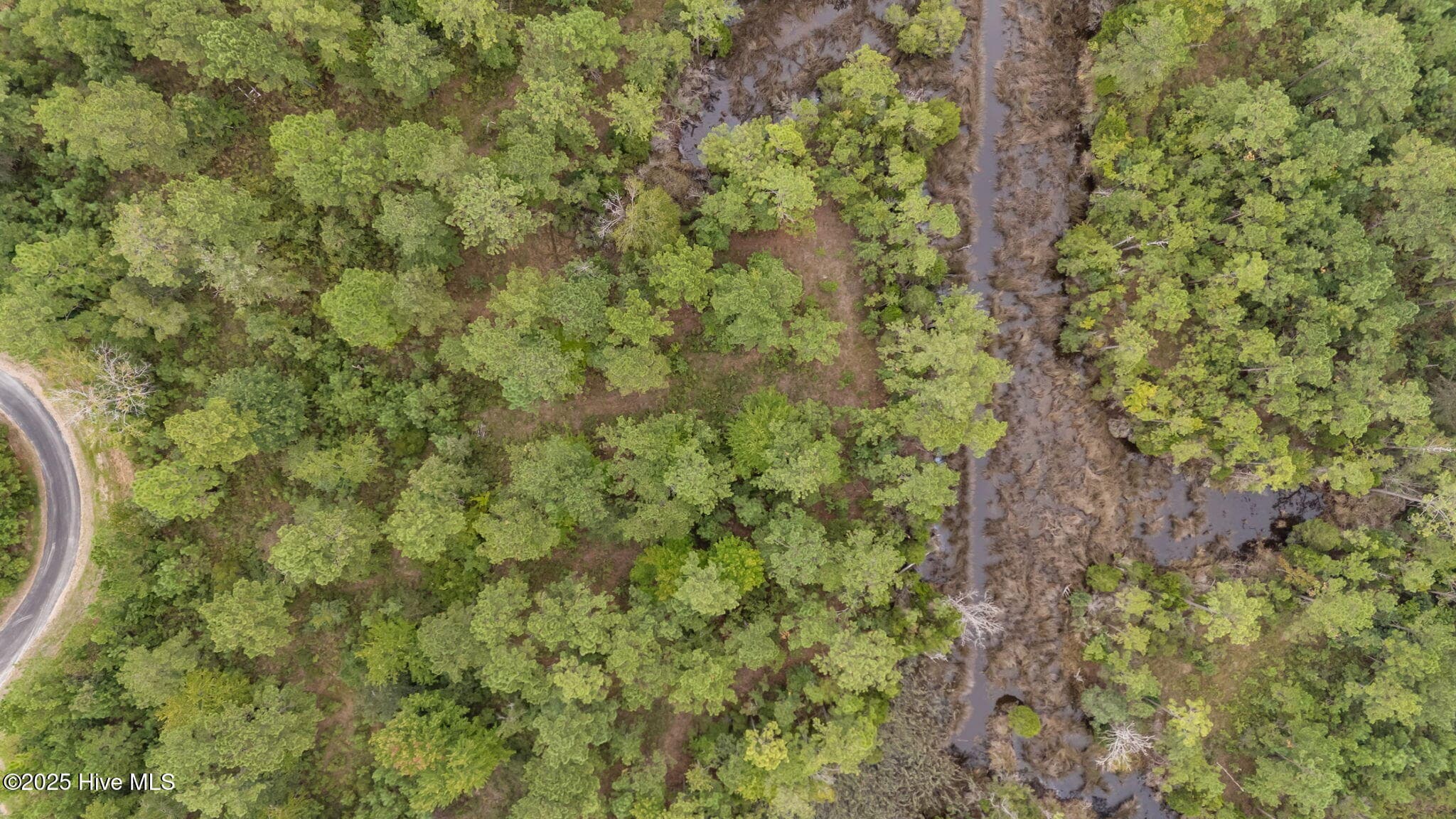 Residential Lot at 214 Shell Castle Lane, Vandemere, NC 28587, photo 5 of 12