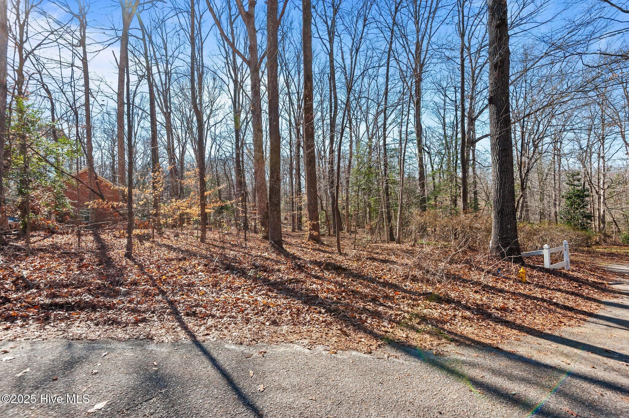 Residential Land at 104 Briarwood Court, Tarboro, NC 27886, photo 10 of 17