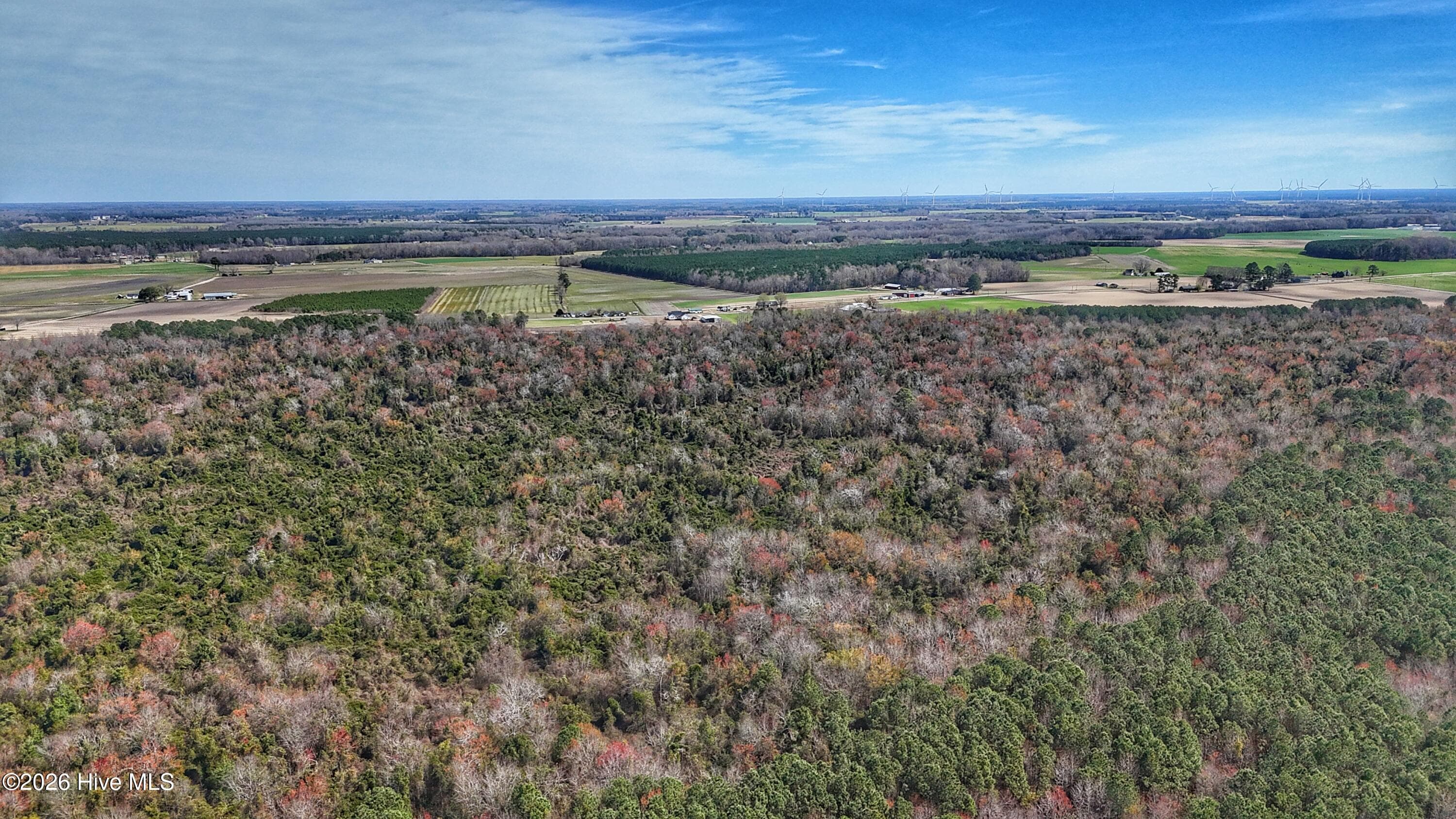 Wooded at 1612 Rocky Hock Landing Road, Edenton, NC 27932, photo 7 of 45