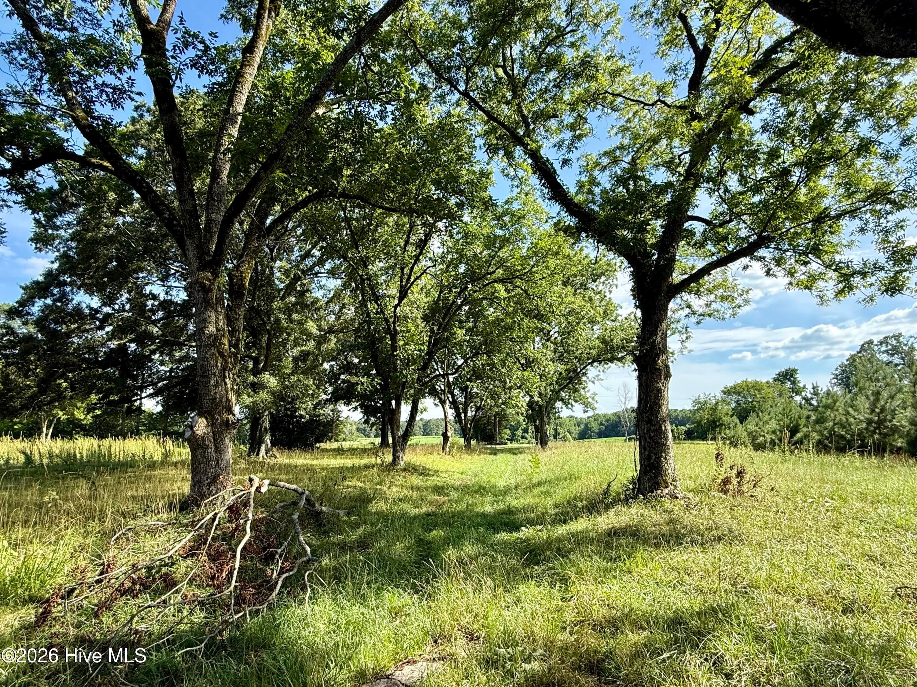 Undeveloped at Tbd Roberdel School Road, Rockingham, NC 28379, photo 6 of 41